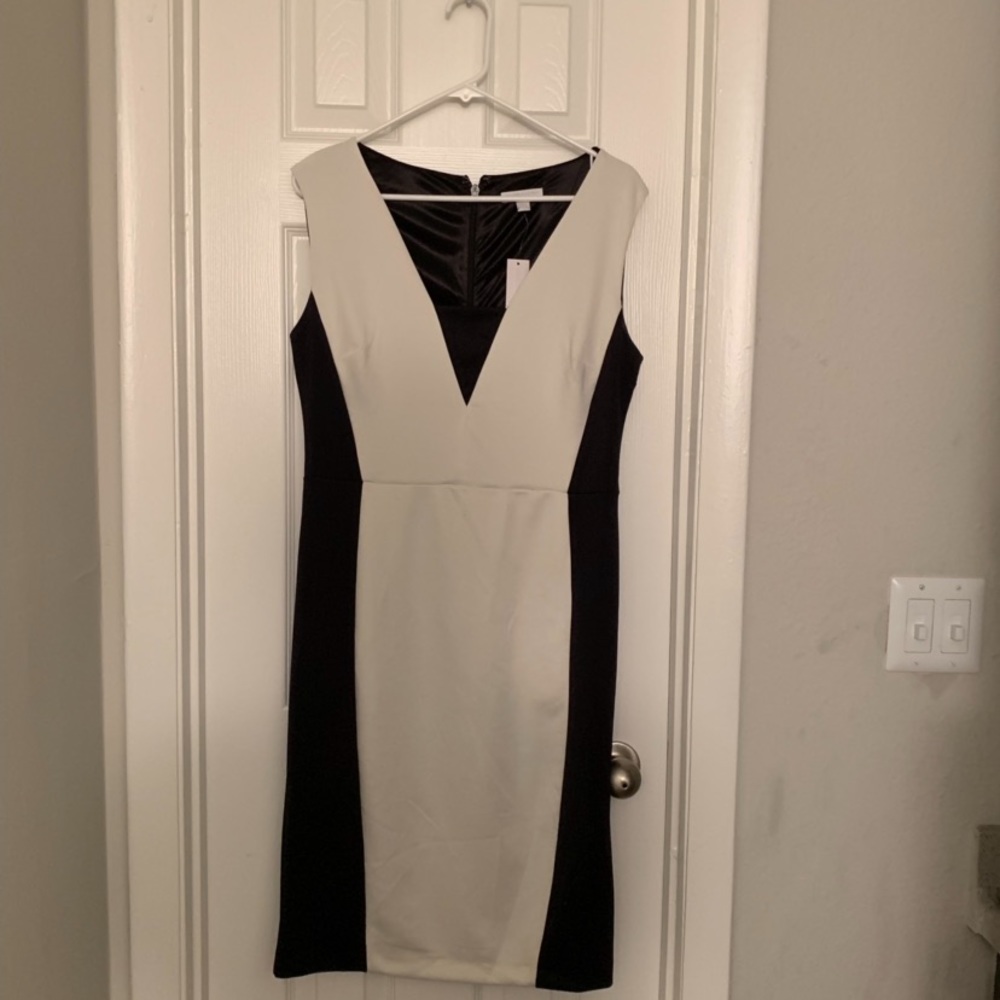 New York and Company Dress